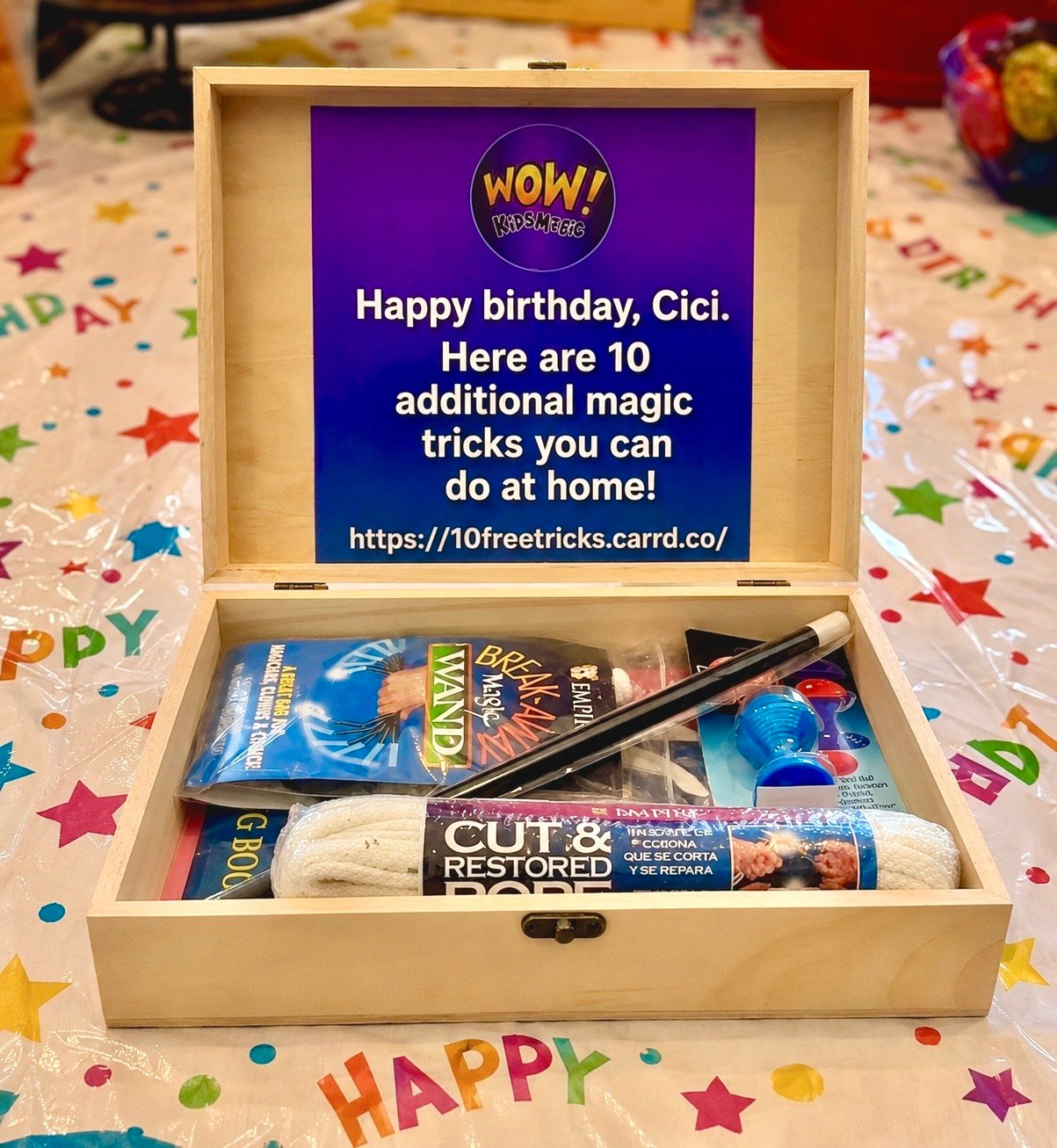 HOME | Wizard Will Michigan Birthday Magician